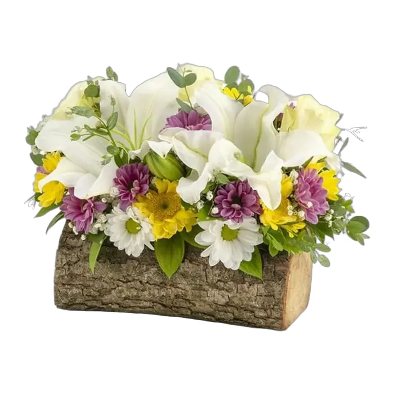 Kütükte Renkli Papatyalı Lilyumlar